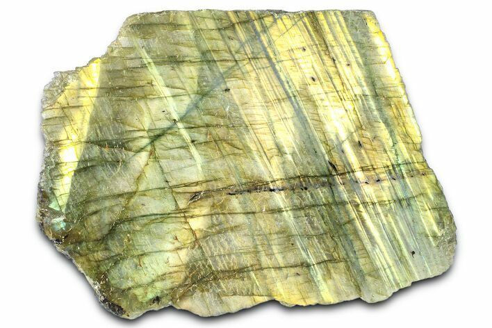 Single Side Polished Labradorite Section - Madagascar #364294
